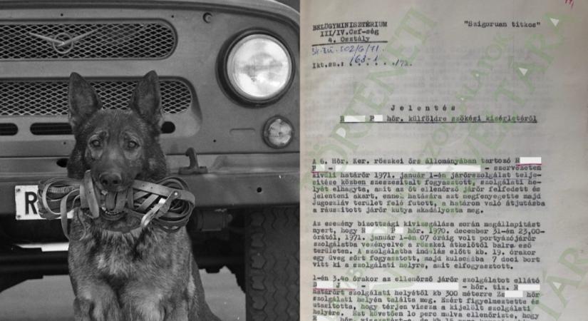 Megivott egy kulacs bort, felbátorodott, majd szökni akart egy magyar határőr