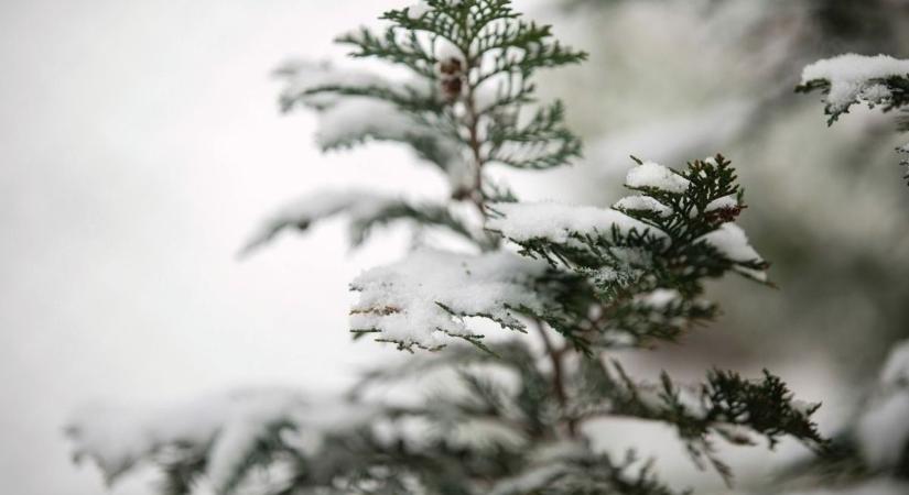 A hideg nem is kérdés, de vajon havazni is fog holnap Hevesben?