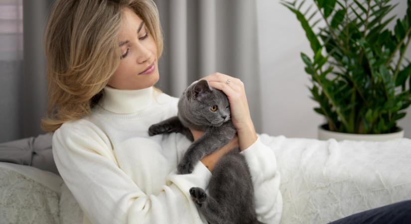 Napi horoszkóp, 2026. január 02.: A Mérleg vállaljon kockázatot, a Vízöntő ne adja fel