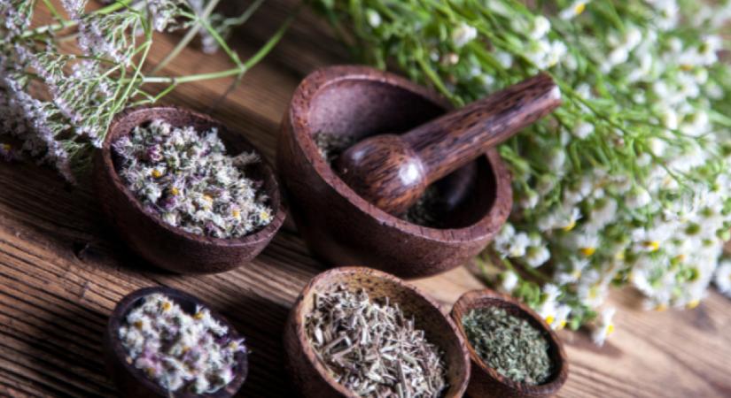 Fájdalmas menstruációkor ezekre a gyógynövényekre bármikor számíthatsz