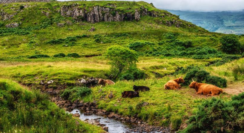 Ami az egyiknek díszlet, az a másiknak otthon