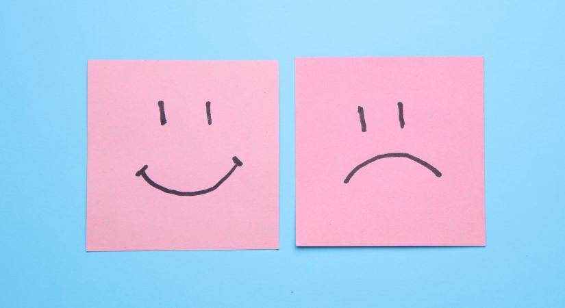 Ellentmondásos év kezdődik: krízisek és beruházások között a mezőgazdaság