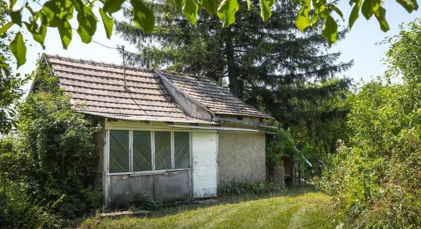 A zártkerti ingatlanok művelési ág alól való kivonásának könnyítéséről döntöttek