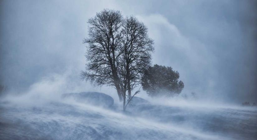 Vörös kód Kolozs megyében: viharos szélre figyelmeztetnek