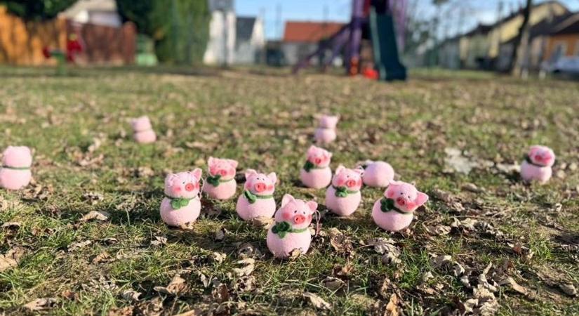 Szétszaladtak a kismalacok, így kíván boldog új évet az alpolgármester