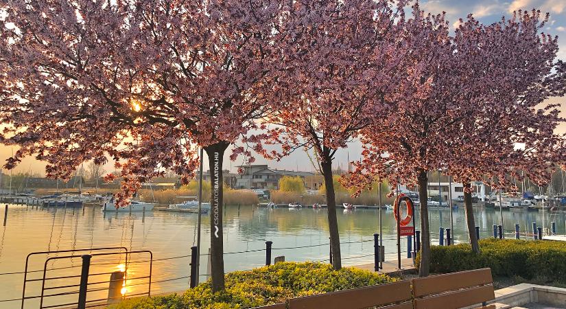 Balatoni Hal- és Borünnep 2026 Balatonfüred