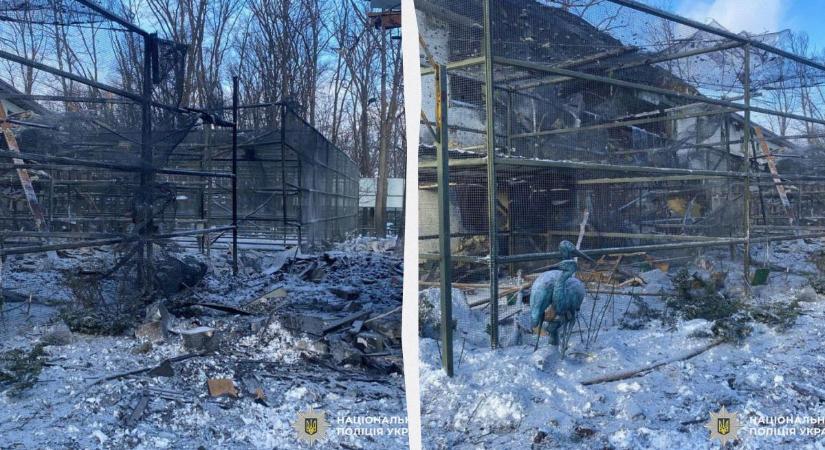 Eltaláltak egy harvkivi állatkertet, többen megsérültek