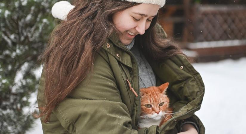 Megérkezett az első hó: nemcsak a kinti, a benti macskára is jobban kell figyelni