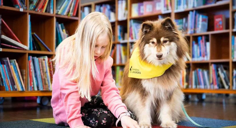 Reading dog: amikor egy kutya hallgatja végig a meséd