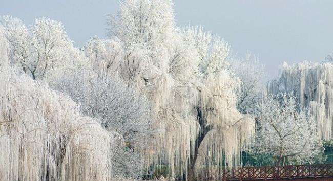Tényleg igazuk van a régieknek? Januári népi megfigyelések, amelyek néha meglepően pontosak