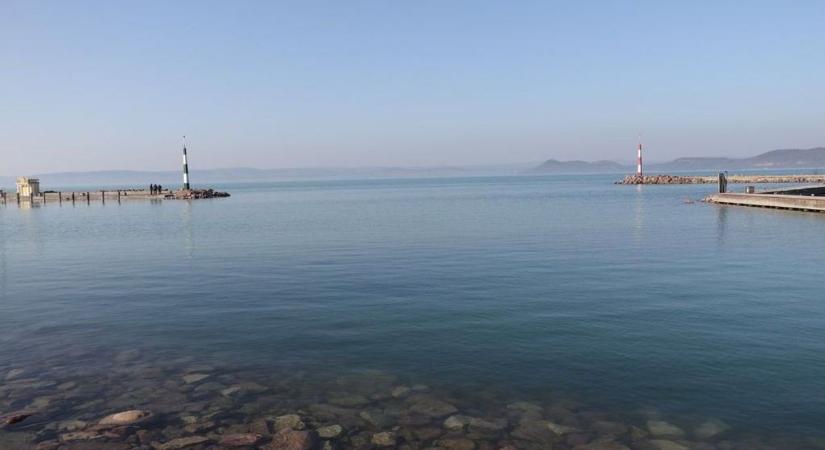 Elpusztult halat láttál a Balatonban? Ez az oka!