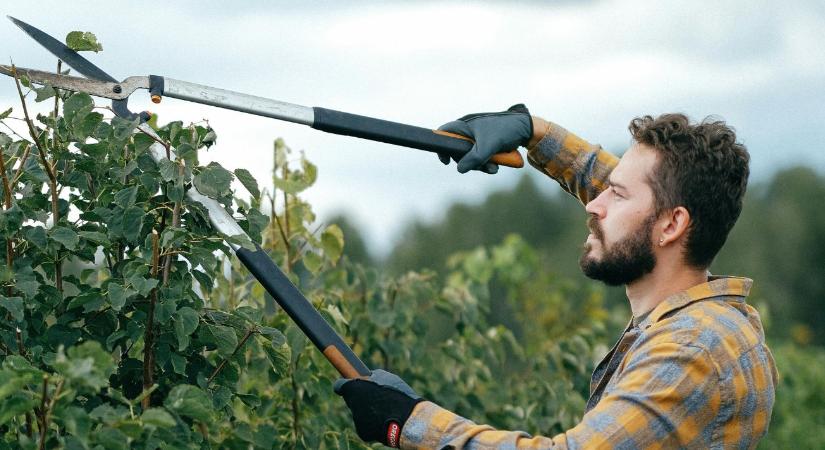 Tudatos gazda vagy? Akkor 2026-ban erre számíthatsz! VIDEÓ