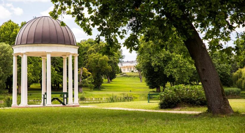 Botanikai séta a fehérvárcsurgói Károlyi Kastély parkjában