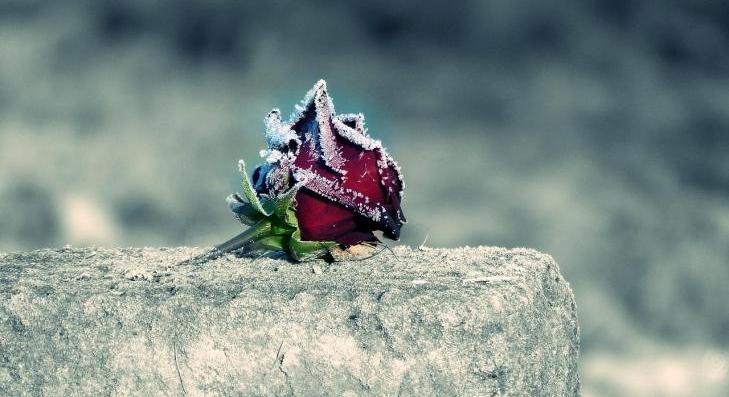 Megdöbbentő mit tettek a hatvani temetőben 