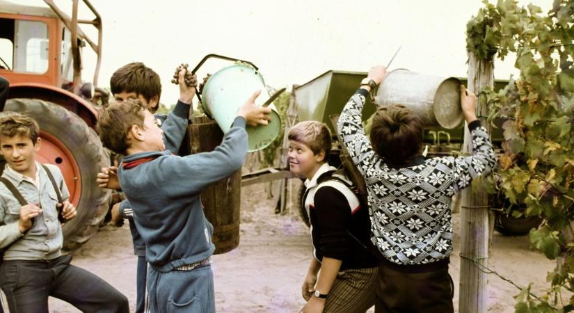 Naplóbejegyzések 7. (1988. október)