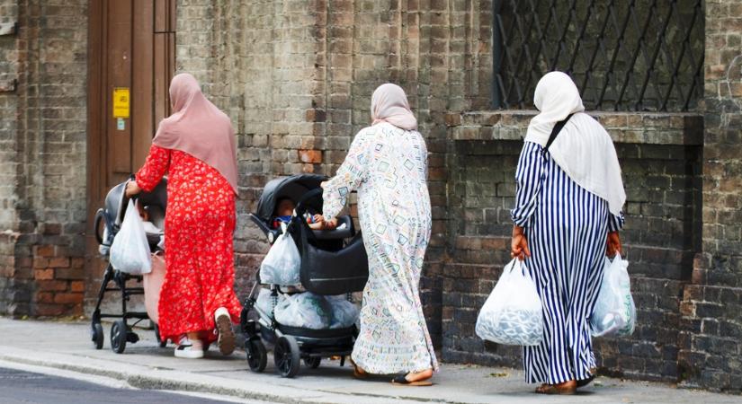 Döbbenetes adatok a bécsi újszülöttekről