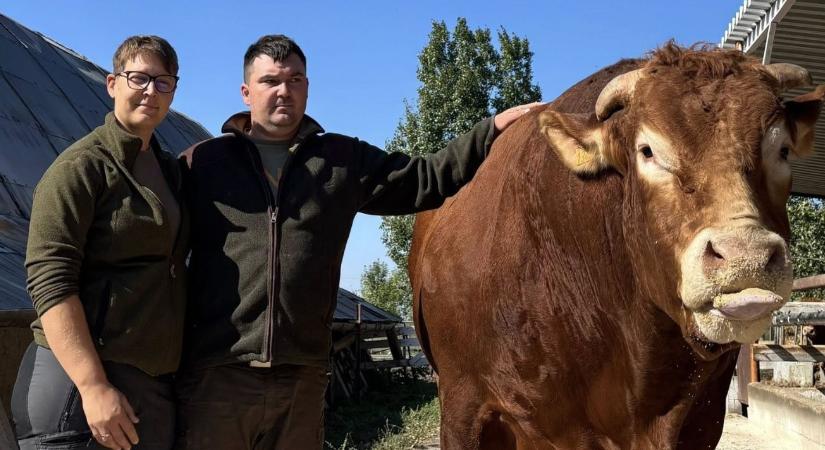 Több lábon, biztos alapokon – így lehet jó példa a dévaványai Pesztránszki Gazdaság