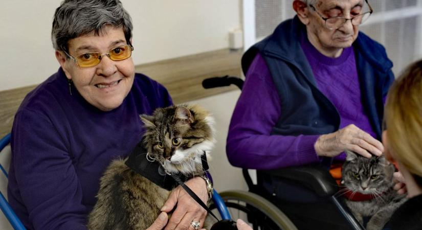 Négylábú látogatók jártak az otthonban élő időseknél