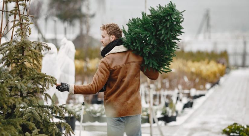 Karácsonyfa kidobás szabályosan – mit érdemes tudni a fa eltávolításáról?