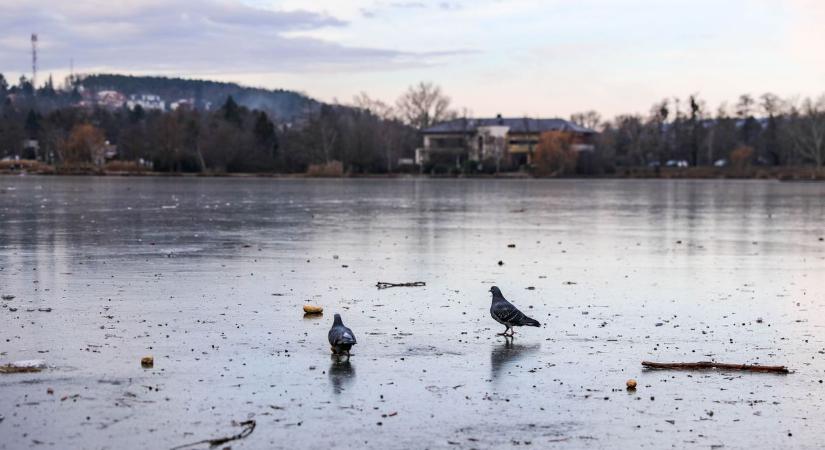 Kisebb jégfelületek kialakultak, ettől függetlenül tilos a szombathelyi Csónakázótó jegére lépni