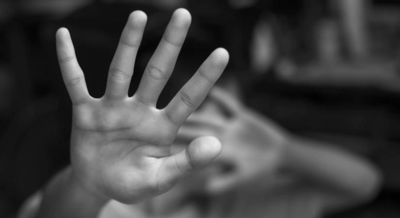 Elengedték a kutyát, megharapott egy kislányt – keresik a gazdát