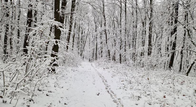 Elő a szánkóval! Mutatjuk Komárom-Esztergom legjobb csúszkálóhelyeit