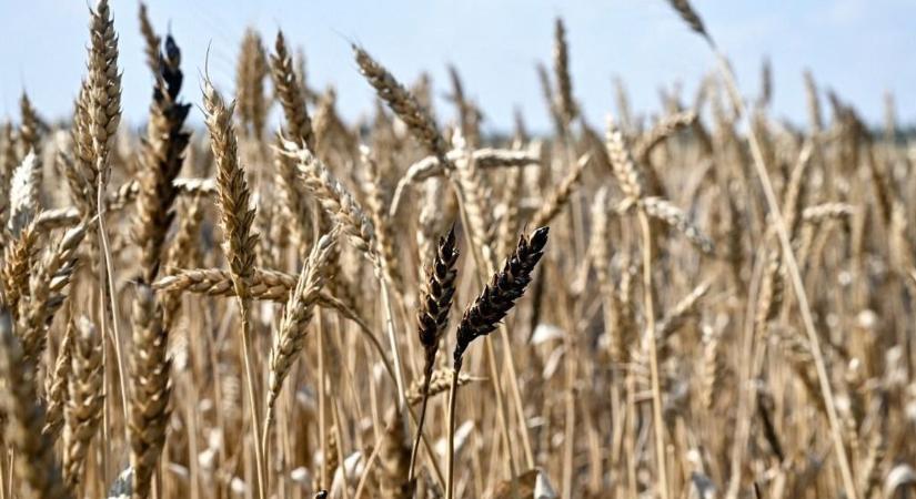 Nem volt könnyű évük a gazdálkodóknak 2025-ben, a szaktárca támogatására ugyanakkor az idén is számíthatnak az érintettek