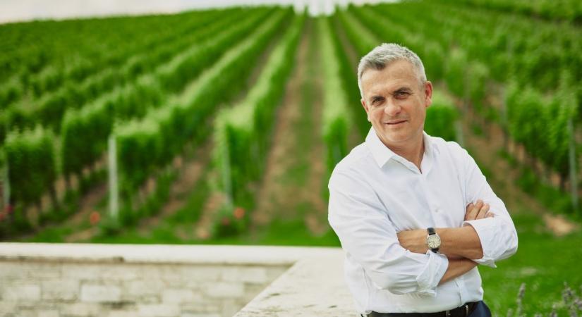 Magyarország szembemegy a globális trenddel: újra nő a borfogyasztás