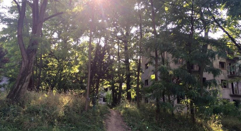 Ezeket a helyeket jobb volt elkerülni, de ha már ott voltál, kérdezni egyáltalán nem volt tanácsos