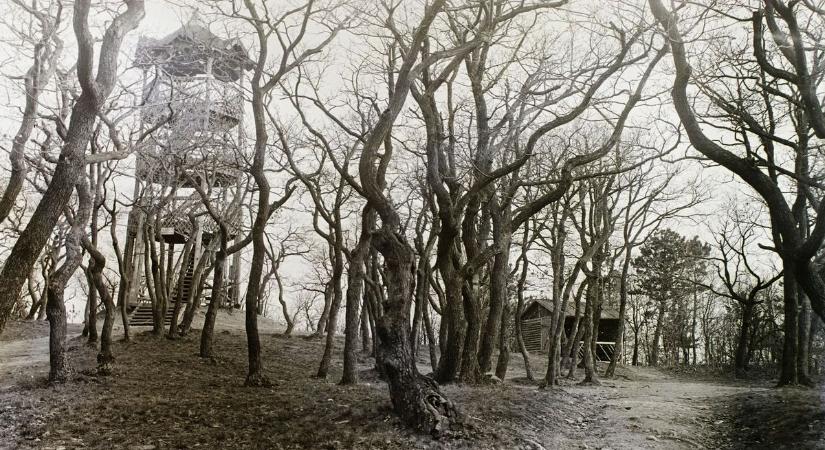 Nosztalgia kirándulás a Soproni Károly kilátóhoz - Ezeket a retró fotókat látnod kell