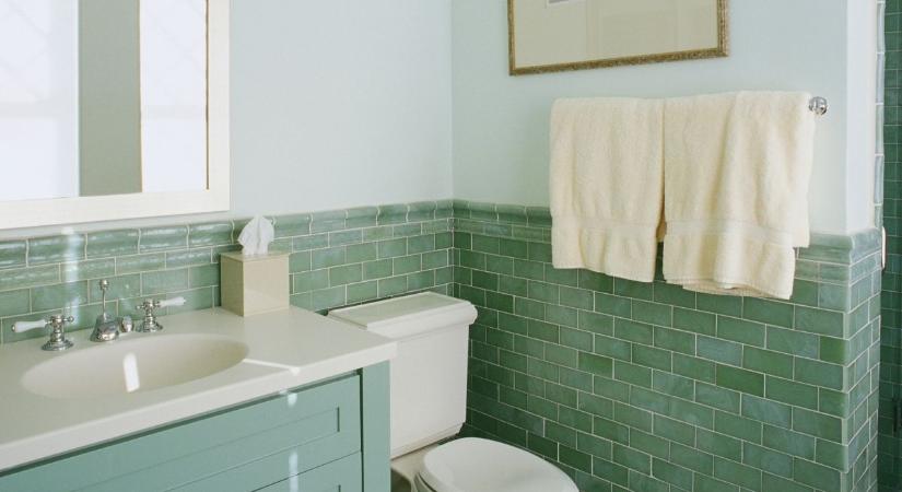 Igazi baktériumtenyészet ez a fürdőszobai tárgy: te hányszor tisztítod?