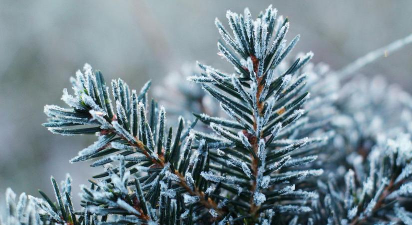 Fagyos reggel, szeles nappal – ilyen idő várható szombaton