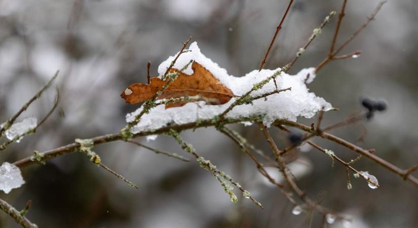 Szombatra is megérkezhet a havazás: ilyen idő vár ránk a hétvégén