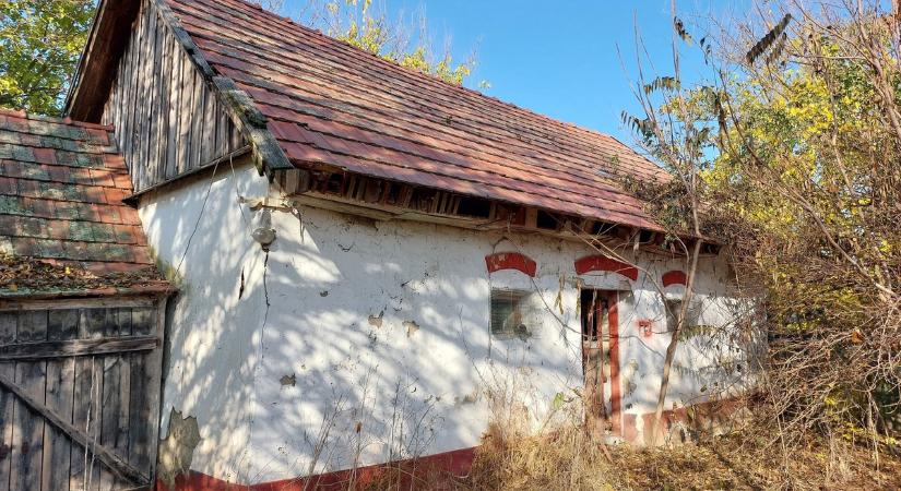 Befőttek és hátrahagyott bútorok a piros szobás házban: baljós jelek az eltűnt család otthonában