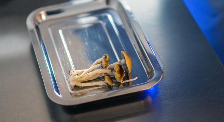 Erre a tiltott drogra esküsznek a mentális betegek, a brit orvosok küzdenek a legalizálásáért