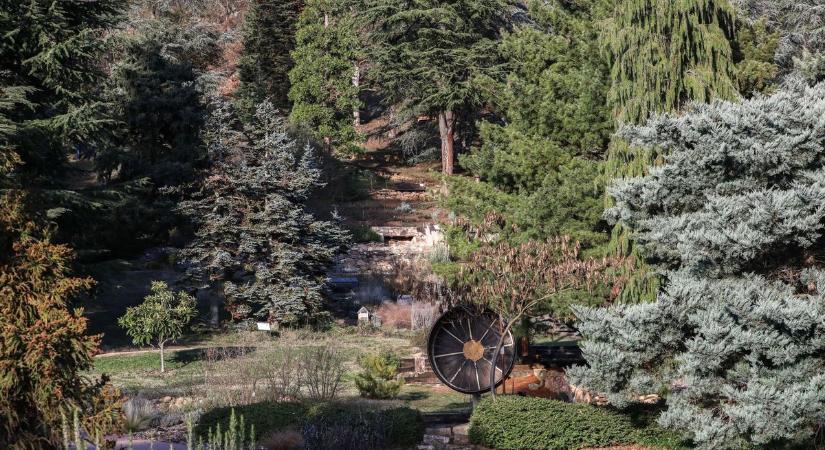 Télen is különleges élmény: nyílt napok a Folly Arborétumban (galéria  videó)
