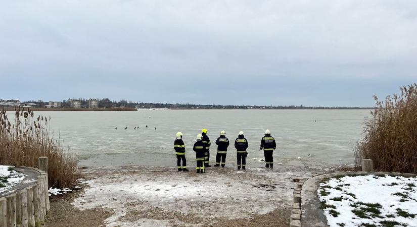Állatmentés a Velencei-tó jegén