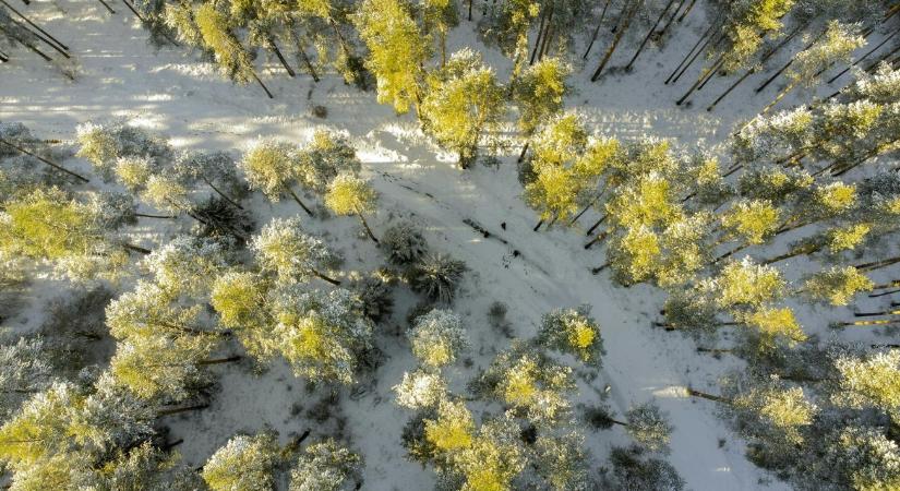 3 napos időjárás: fagyos éjszakák, havazhat is VIDEÓ