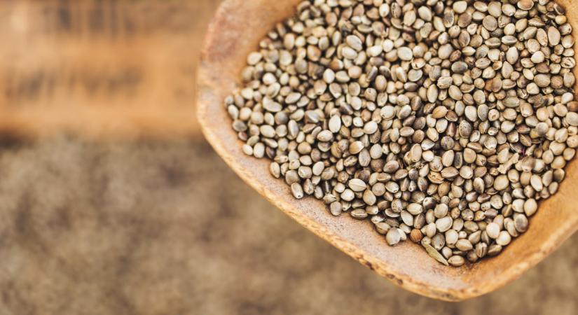 Új szuperélelmiszer hódítja meg a világot: itthon is egyre többen keresik