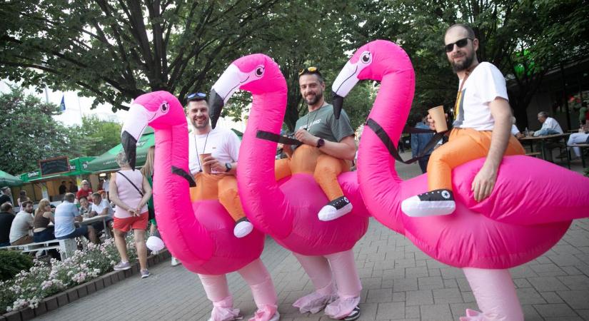 Ezek voltak a legnagyobb bulik Zalában 2025-ben – te ott voltál valamelyiken?