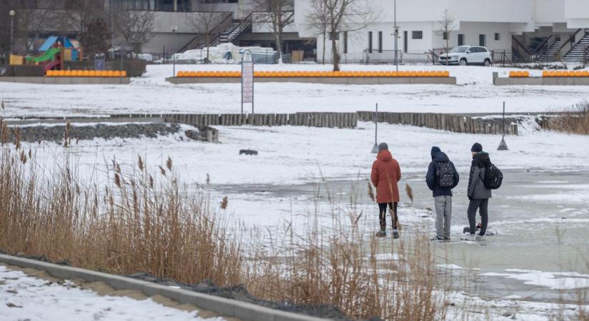 Meglepő látványban volt részünk a Velencei-tavon (galéria)