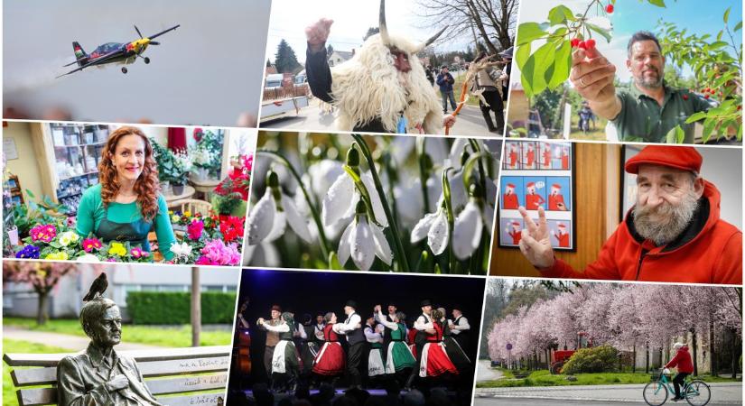 Az elmúlt év fotósaink szemével