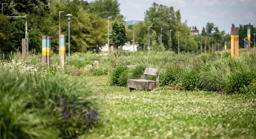 Zöld programok, környezettudatos törekvések és eredmények a kerületünkben 2025-ben