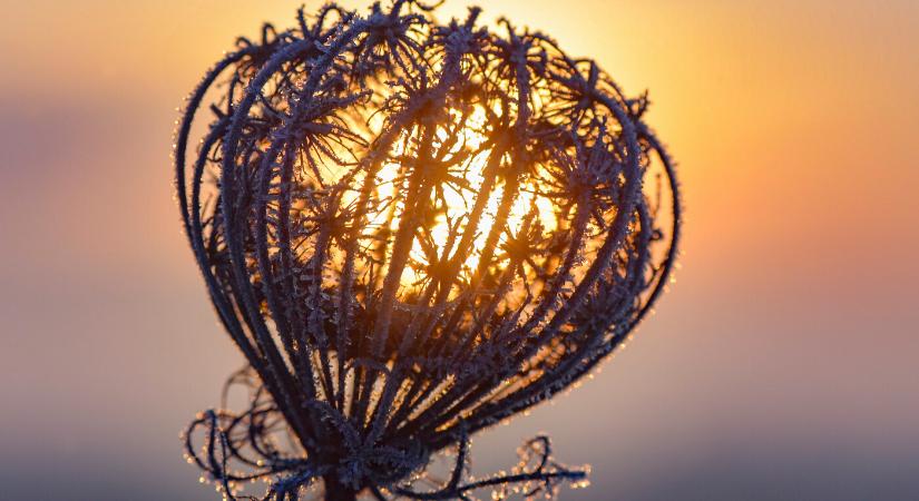 Időjárás: Szikrázó napsütés, fagypont közeli nappali hőmérséklet