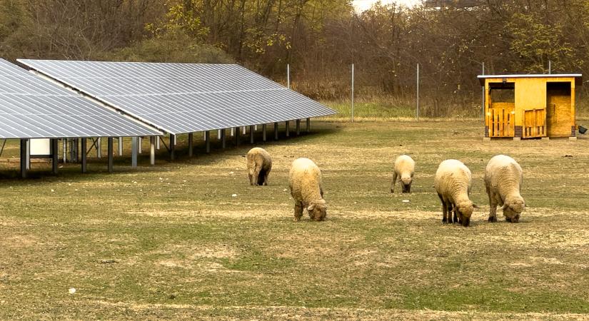Megjött a jelentés: ez várható a következő években az európai és a magyar napenergia-piacon