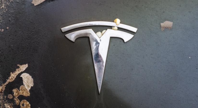 Bukott a Tesla, ez a márka a villanyautók új királya