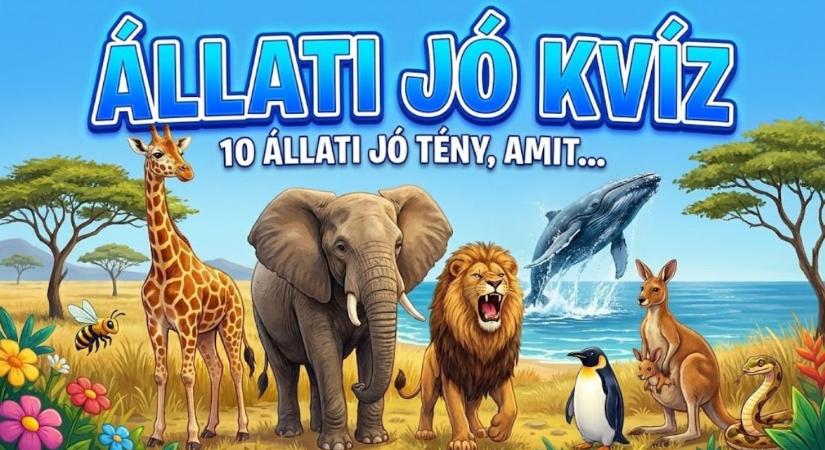 Állati jó kvíz: Tudod a mondat végét? Egészítsd ki a legmeglepőbb tényeket!