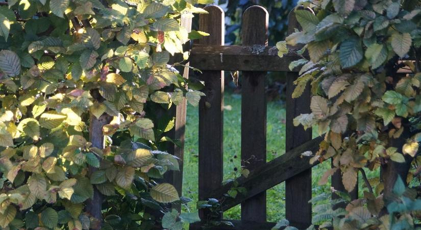 Mit jelent a zártkert jogi besorolása a gyakorlatban?