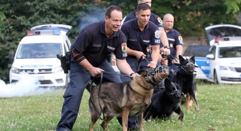 Rendőrkutya lehet a négylábújából – mutatjuk, hogyan!