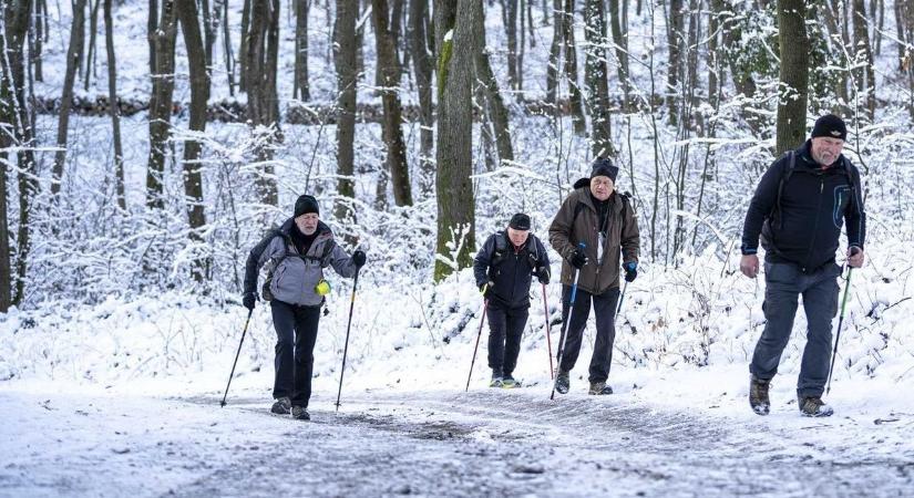 Megérkezett a tél a Kelet-Mecsekbe: havazásra figyelmeztetik a túrázókat